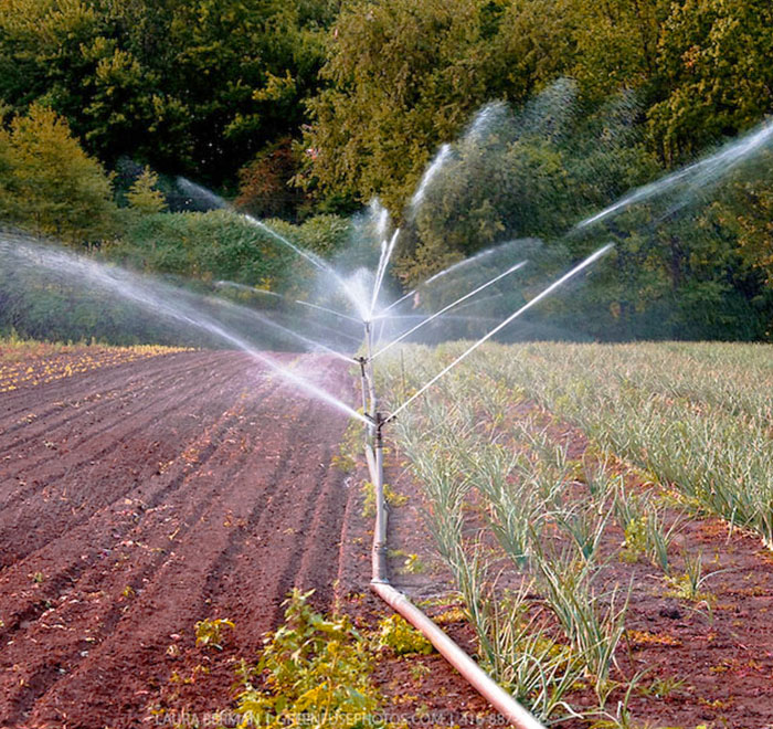Irrigation System in Field